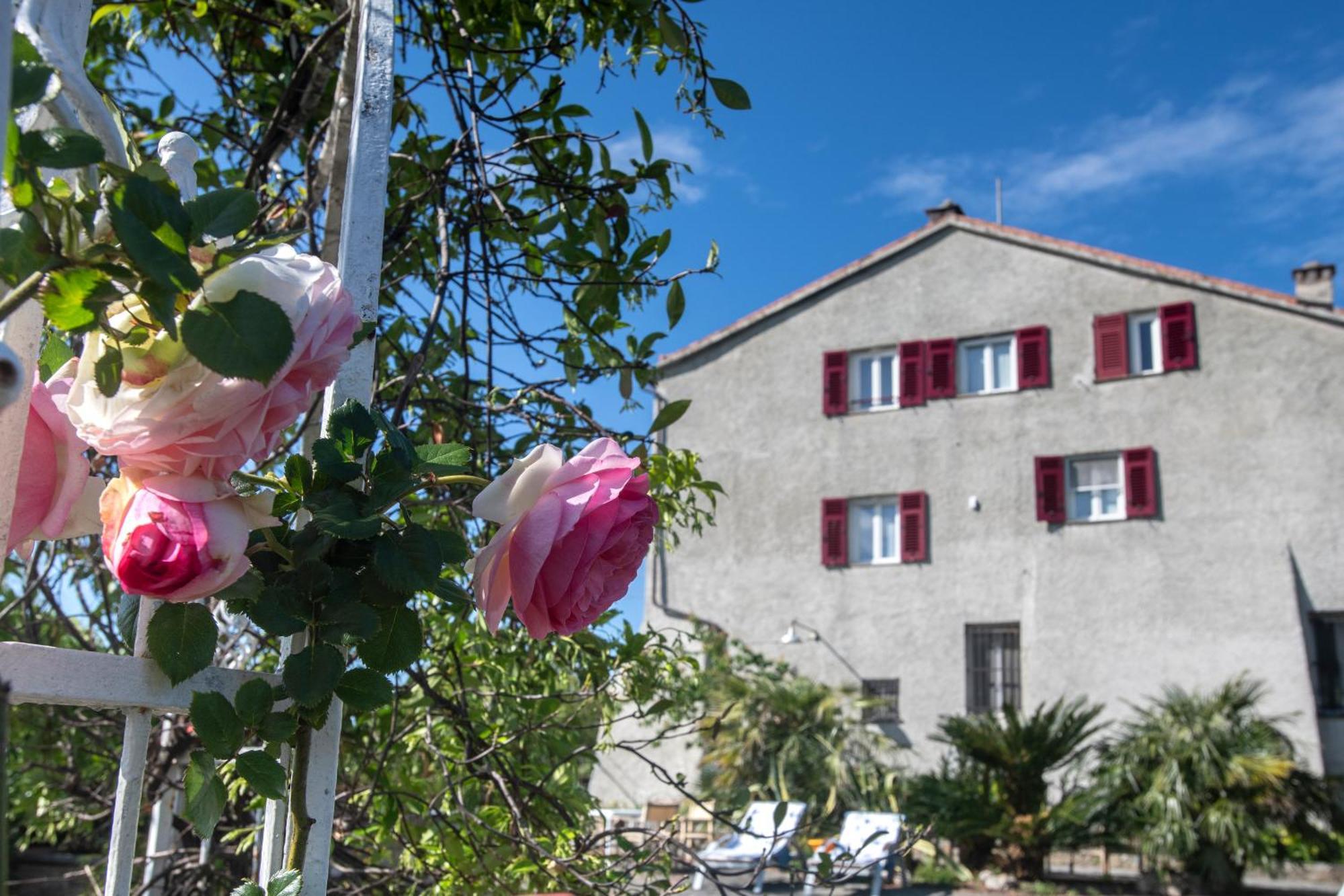 277 - Il Frantoio Della Marchesa - Giardino E Piscina Nel Verde Di سيستري ليفانتي المظهر الخارجي الصورة
